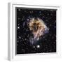 Supernova Remnant LMC N 49-null-Framed Premium Photographic Print