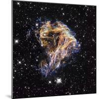 Supernova Remnant LMC N 49-null-Mounted Premium Photographic Print