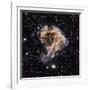 Supernova Remnant LMC N 49-null-Framed Photographic Print