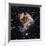 Supernova Remnant LMC N 49-null-Framed Photographic Print