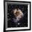 Supernova Remnant LMC N 49-null-Framed Photographic Print