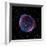 Supernova Remnant SN1006, Composite Image-null-Framed Premium Photographic Print