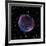 Supernova Remnant SN1006, Composite Image-null-Framed Photographic Print