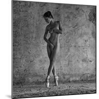 Superpower-Alexander Pereverzov-Mounted Photographic Print