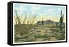 Superstition Mountain, Apache Trail-null-Framed Stretched Canvas