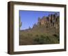 Superstition Mountains, Lost Dutchman State Park, Arizona, USA-Kristin Mosher-Framed Photographic Print