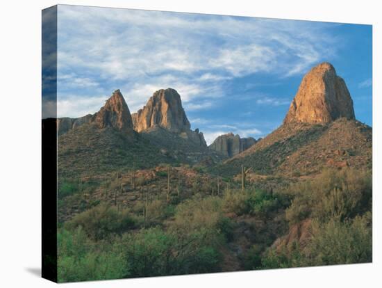 Superstition Mountains, Phoenix, AZ-Danny Daniels-Stretched Canvas