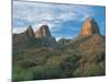 Superstition Mountains, Phoenix, AZ-Danny Daniels-Mounted Photographic Print