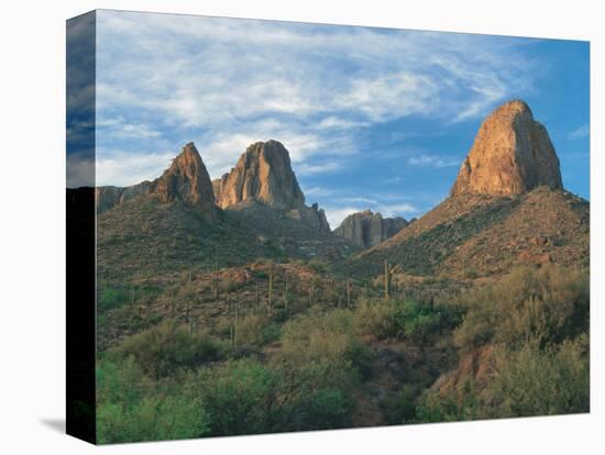 Superstition Mountains, Phoenix, AZ-Danny Daniels-Stretched Canvas