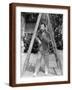 Brown Frame