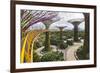 Supertree Grove and Skywalk in the Gardens by the Bay, Marina South, Singapore.-Cahir Davitt-Framed Photographic Print