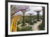 Supertree Grove and Skywalk in the Gardens by the Bay, Marina South, Singapore.-Cahir Davitt-Framed Photographic Print