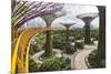 Supertree Grove and Skywalk in the Gardens by the Bay, Marina South, Singapore.-Cahir Davitt-Mounted Photographic Print