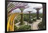 Supertree Grove and Skywalk in the Gardens by the Bay, Marina South, Singapore.-Cahir Davitt-Framed Photographic Print