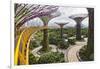 Supertree Grove and Skywalk in the Gardens by the Bay, Marina South, Singapore.-Cahir Davitt-Framed Premium Photographic Print