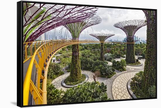 Supertree Grove and Skywalk in the Gardens by the Bay, Marina South, Singapore.-Cahir Davitt-Framed Stretched Canvas