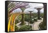 Supertree Grove and Skywalk in the Gardens by the Bay, Marina South, Singapore.-Cahir Davitt-Framed Stretched Canvas