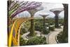 Supertree Grove and Skywalk in the Gardens by the Bay, Marina South, Singapore.-Cahir Davitt-Stretched Canvas