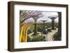 Supertree Grove and Skywalk in the Gardens by the Bay, Marina South, Singapore.-Cahir Davitt-Framed Photographic Print