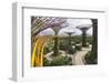 Supertree Grove and Skywalk in the Gardens by the Bay, Marina South, Singapore.-Cahir Davitt-Framed Photographic Print