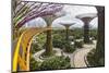 Supertree Grove and Skywalk in the Gardens by the Bay, Marina South, Singapore.-Cahir Davitt-Mounted Photographic Print