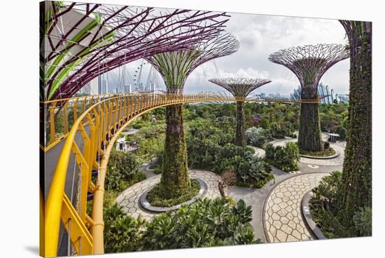 Supertree Grove and Skywalk in the Gardens by the Bay, Marina South, Singapore.-Cahir Davitt-Stretched Canvas