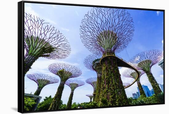 Supertree Grove in the Gardens by the Bay, a Futuristic Botanical Gardens and Park, Marina Bay-Fraser Hall-Framed Stretched Canvas