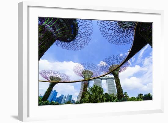 Supertree Grove in the Gardens by the Bay, a Futuristic Botanical Gardens and Park, Marina Bay-Fraser Hall-Framed Photographic Print