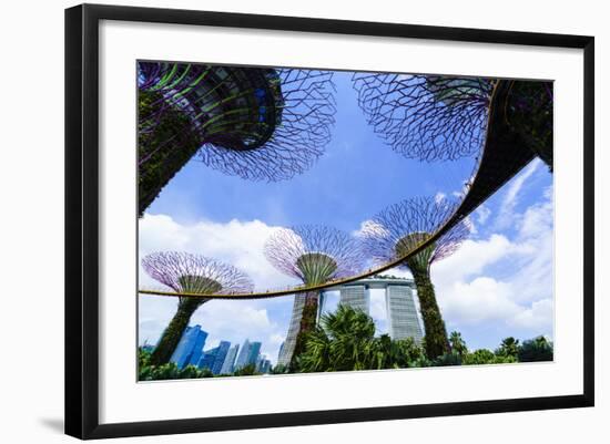 Supertree Grove in the Gardens by the Bay, a Futuristic Botanical Gardens and Park, Marina Bay-Fraser Hall-Framed Photographic Print