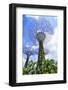 Supertree Grove in the Gardens by the Bay, a Futuristic Botanical Gardens and Park, Marina Bay-Fraser Hall-Framed Photographic Print