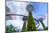 Supertree Grove in the Gardens by the Bay, a Futuristic Botanical Gardens and Park, Marina Bay-Fraser Hall-Mounted Photographic Print