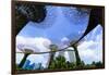 Supertree Grove in the Gardens by the Bay, a Futuristic Botanical Gardens and Park, Marina Bay-Fraser Hall-Framed Photographic Print