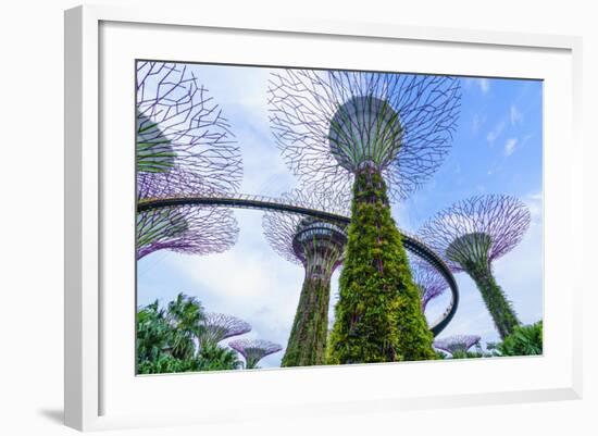 Supertree Grove in the Gardens by the Bay, a Futuristic Botanical Gardens and Park, Marina Bay-Fraser Hall-Framed Photographic Print