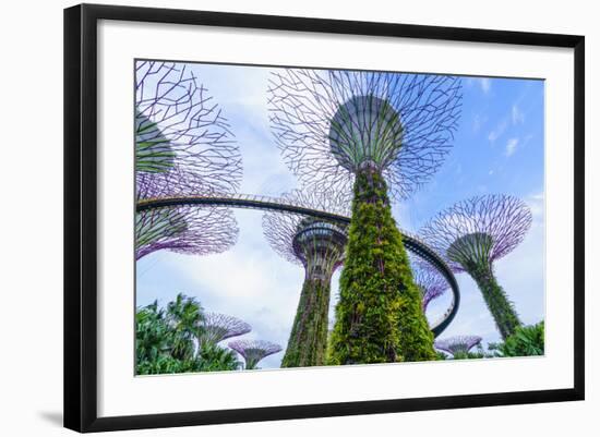 Supertree Grove in the Gardens by the Bay, a Futuristic Botanical Gardens and Park, Marina Bay-Fraser Hall-Framed Photographic Print