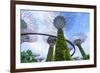 Supertree Grove in the Gardens by the Bay, a Futuristic Botanical Gardens and Park, Marina Bay-Fraser Hall-Framed Photographic Print