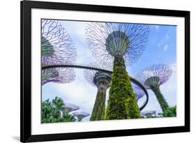 Supertree Grove in the Gardens by the Bay, a Futuristic Botanical Gardens and Park, Marina Bay-Fraser Hall-Framed Photographic Print