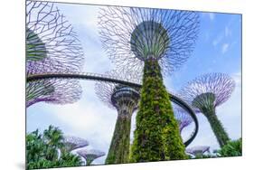 Supertree Grove in the Gardens by the Bay, a Futuristic Botanical Gardens and Park, Marina Bay-Fraser Hall-Mounted Photographic Print