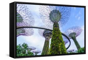 Supertree Grove in the Gardens by the Bay, a Futuristic Botanical Gardens and Park, Marina Bay-Fraser Hall-Framed Stretched Canvas