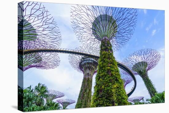 Supertree Grove in the Gardens by the Bay, a Futuristic Botanical Gardens and Park, Marina Bay-Fraser Hall-Stretched Canvas