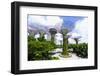 Supertree Grove in the Gardens by the Bay, a Futuristic Botanical Gardens and Park, Marina Bay-Fraser Hall-Framed Photographic Print