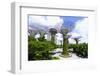 Supertree Grove in the Gardens by the Bay, a Futuristic Botanical Gardens and Park, Marina Bay-Fraser Hall-Framed Photographic Print