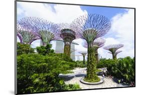 Supertree Grove in the Gardens by the Bay, a Futuristic Botanical Gardens and Park, Marina Bay-Fraser Hall-Mounted Photographic Print