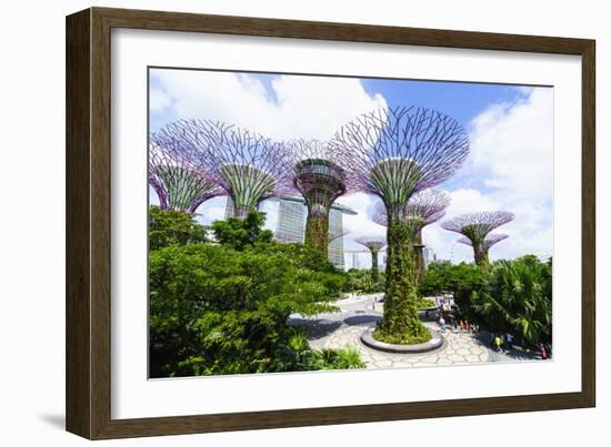 Supertree Grove in the Gardens by the Bay, a Futuristic Botanical Gardens and Park, Marina Bay-Fraser Hall-Framed Photographic Print