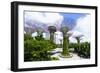 Supertree Grove in the Gardens by the Bay, a Futuristic Botanical Gardens and Park, Marina Bay-Fraser Hall-Framed Photographic Print