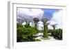 Supertree Grove in the Gardens by the Bay, a Futuristic Botanical Gardens and Park, Marina Bay-Fraser Hall-Framed Photographic Print