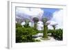 Supertree Grove in the Gardens by the Bay, a Futuristic Botanical Gardens and Park, Marina Bay-Fraser Hall-Framed Photographic Print