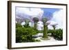 Supertree Grove in the Gardens by the Bay, a Futuristic Botanical Gardens and Park, Marina Bay-Fraser Hall-Framed Photographic Print