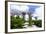 Supertree Grove in the Gardens by the Bay, a Futuristic Botanical Gardens and Park, Marina Bay-Fraser Hall-Framed Photographic Print