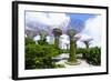 Supertree Grove in the Gardens by the Bay, a Futuristic Botanical Gardens and Park, Marina Bay-Fraser Hall-Framed Photographic Print