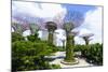 Supertree Grove in the Gardens by the Bay, a Futuristic Botanical Gardens and Park, Marina Bay-Fraser Hall-Mounted Photographic Print